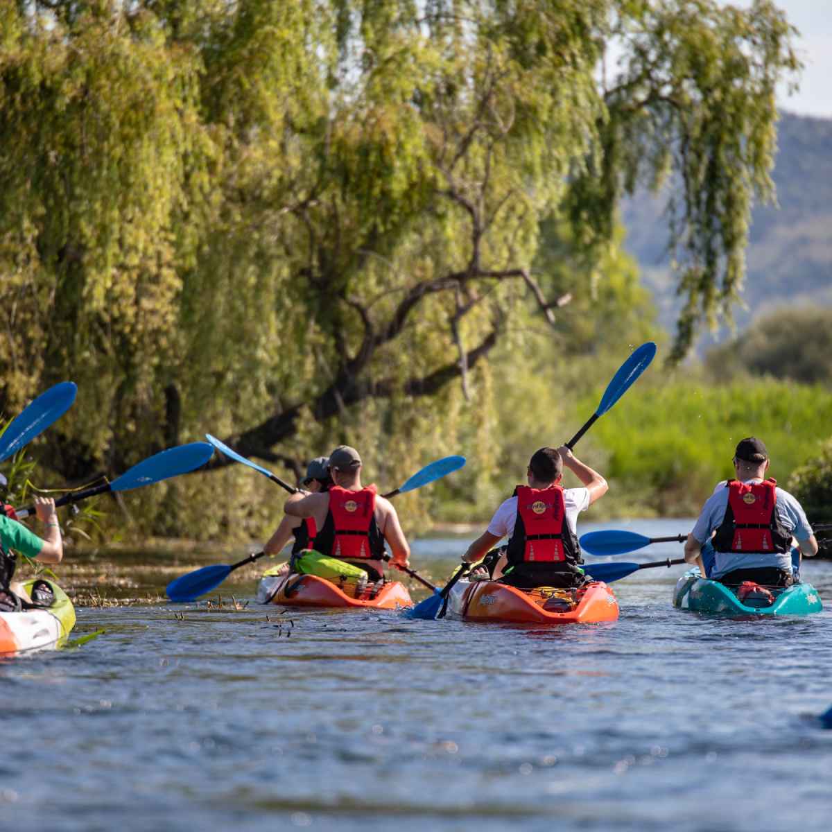 Guided Kayak Tour