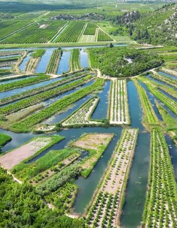 the-neretva-valley-is-the-river-delta-of-the-neretva-a-river-that-flows-through-bosnia-and-herzegovina-and-croatia-and-empties-into-the-adriatic-sea-video